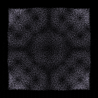 black and white loop GIF by roberthruska