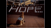 Golden Retriever Dog GIF
