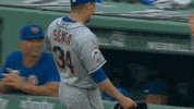 Happy Ny Mets GIF by New York Mets