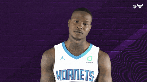 Terry Rozier Sport GIF by Charlotte Hornets