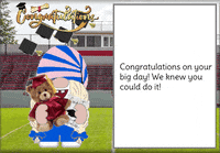 Congratulations Gnome GIF