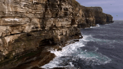 symphony for our world GIF by Nat Geo Wild 