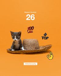 save them all best friends GIF by Best Friends Animal Society
