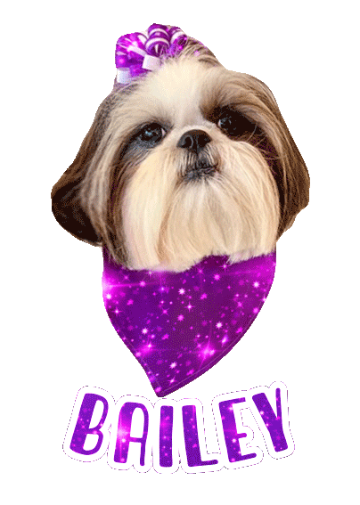 Dog Bailey Sticker