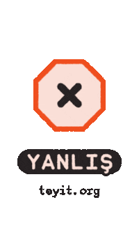 Facts Checkmark Sticker by Teyit