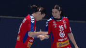 Sport Lol GIF by EHF