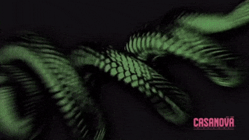 Chefboy Tyree - Fate