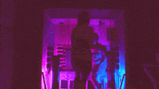 Las Vegas Sweat GIF by Elevated