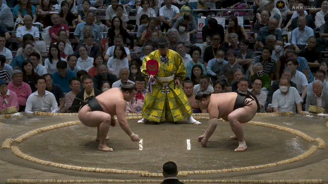 TZ85 giphyupload sumo abi kirishima GIF