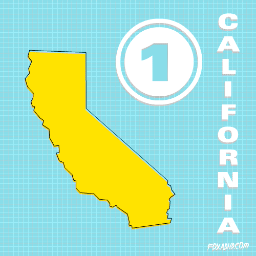 Los Angeles Fox GIF by gifnews