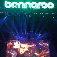 GIF by Bonnaroo Music and Arts Festival