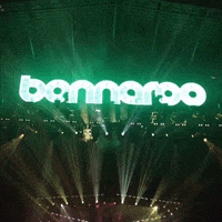 GIF by Bonnaroo Music and Arts Festival