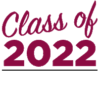 College Brand Sticker by New Mexico State University