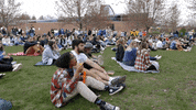 GIF by Siena College