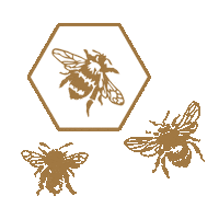 RawDecor gold bee bees hexagon Sticker