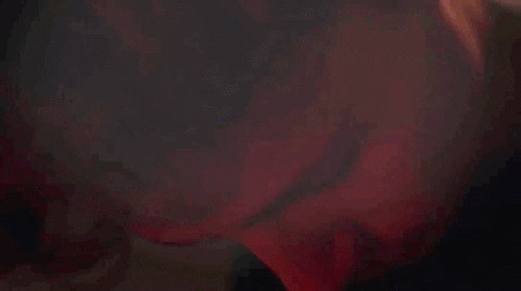 quenotehagabobo giphyupload zeta z1 juanpa zurita GIF