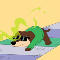 Dog Smells Bad GIF by ChesterAbstract