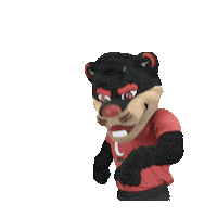College Sports Cincinnati Sticker by College Colors Day