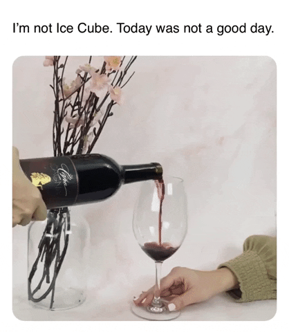 LeahVanDale cheers wine drinks salute GIF