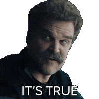 David Harbour Fact Sticker by HBO Max