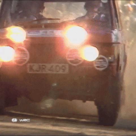 Driving Land Rover GIF by FIA World Rally Championship