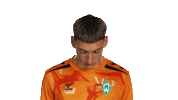Look Up Werder Bremen Sticker by Bundesliga