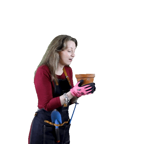 Plants Tuinieren Sticker by mindandbeauty