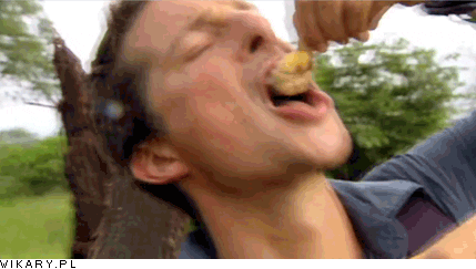 bear grylls GIF