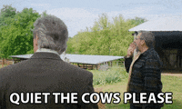 Irresistible GIF by Focus Features