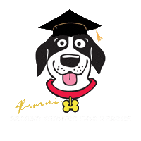 Dogs Adopt Sticker by Second Chance Dog Rescue