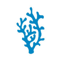 Coral Sticker by Earth Caps