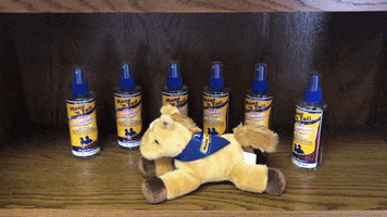 hair product GIF by Mane 'n Tail