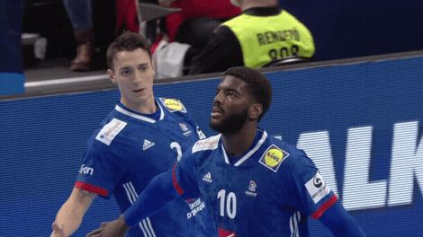 France Win GIF by EHF