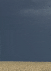 african cats landscape GIF by Head Like an Orange