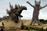 party cat dancing GIF