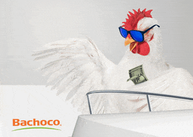 Money Chicken GIF by Bachoco