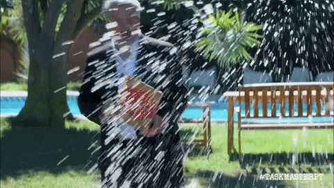 GIF by Taskmaster Portugal