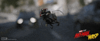 GIF by Marvel Studios