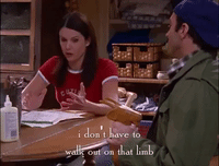 season 2 netflix GIF by Gilmore Girls 