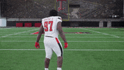 Red Raiders GIF by Texas Tech Football
