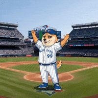 Happy Lets Go GIF by Doge Pound