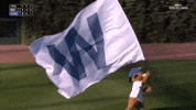 Chicago Cubs Sport GIF by MLB