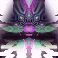 Art Mirror GIF by John Fogarty