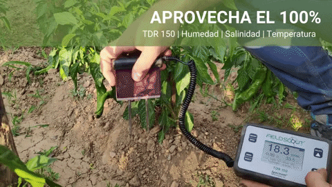 idelreyg giphyupload agronomia precision temperatura GIF
