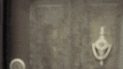 GIF by Eccho Rights