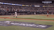 Excited Major League Baseball GIF by MLB