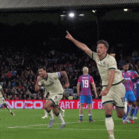 The Den Hug GIF by MillwallFC