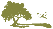 Huntington Beach Sticker by South Carolina State Parks