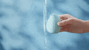 OSUGA bird splash bath shower GIF