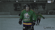 ice hockey sport GIF by NHL